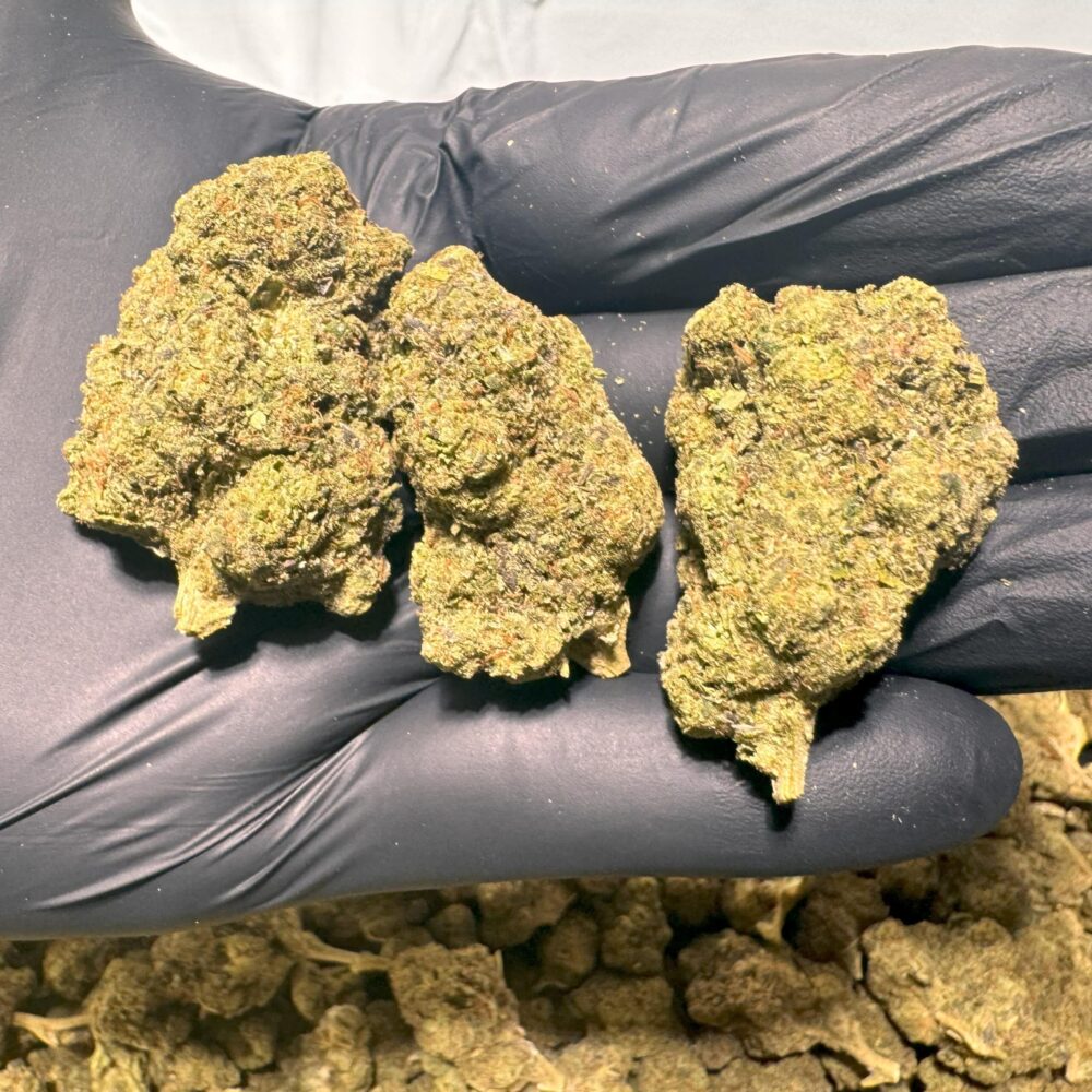 Cherry AK-47 - Image 2